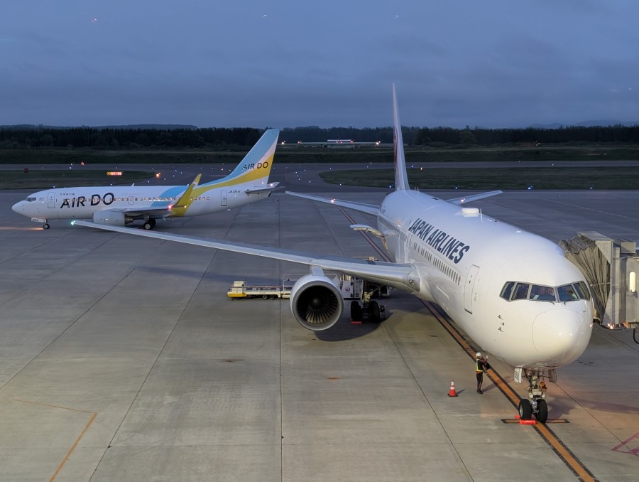 七夕のJAL