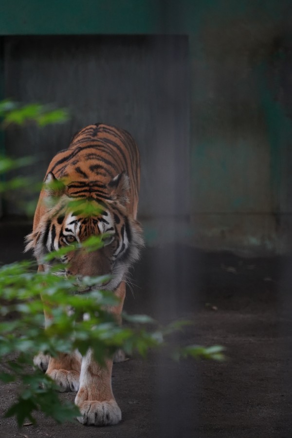 帯広動物園