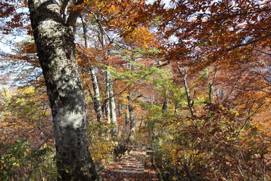 10月下旬、伯耆大山と岩美への一人旅
